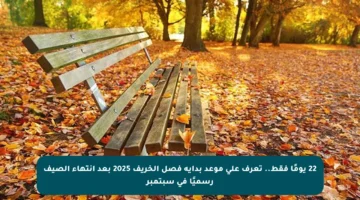 22 يومًا فقط.. تعرف على موعد بداية فصل الخريف 2025 بعد انتهاء الصيف رسميًا في سبتمبر